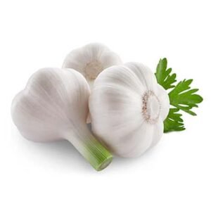 Garlic